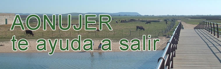 Aonujer te ayuda a salir